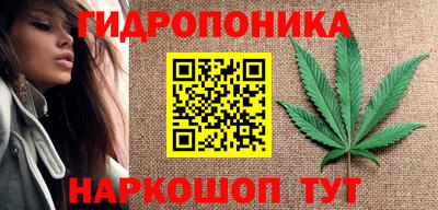 прущие крисы Гусиноозёрск