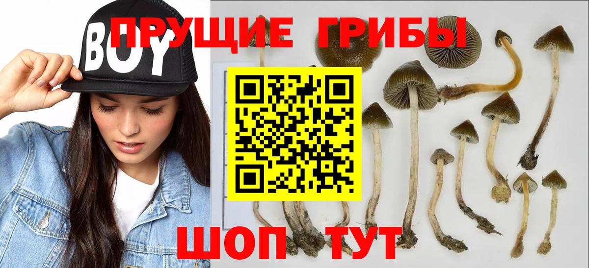 Псилоцибиновые грибы мухоморы  Вход с VPN  Междуреченск 